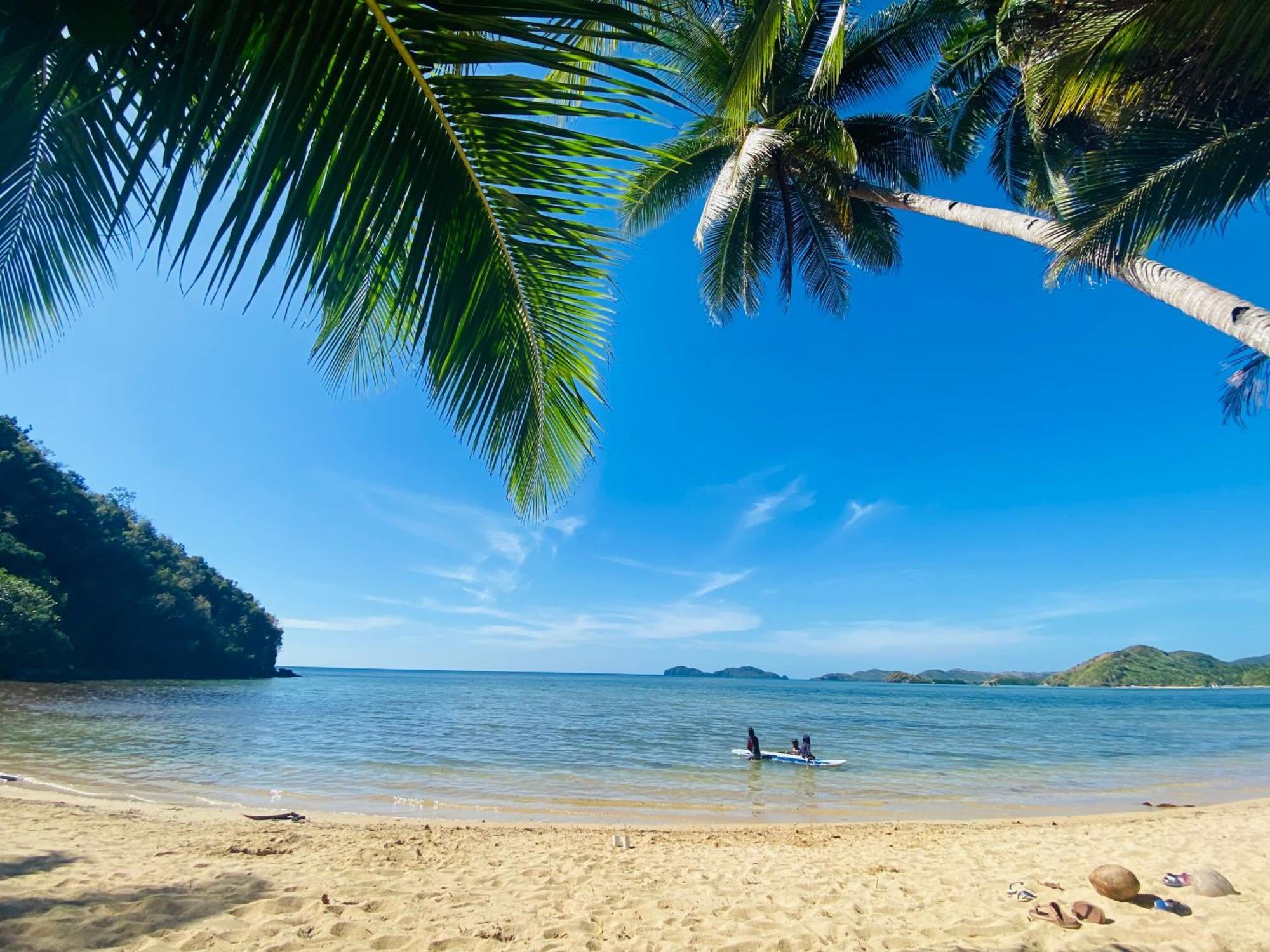 Ocamocam Nature * New Busuanga