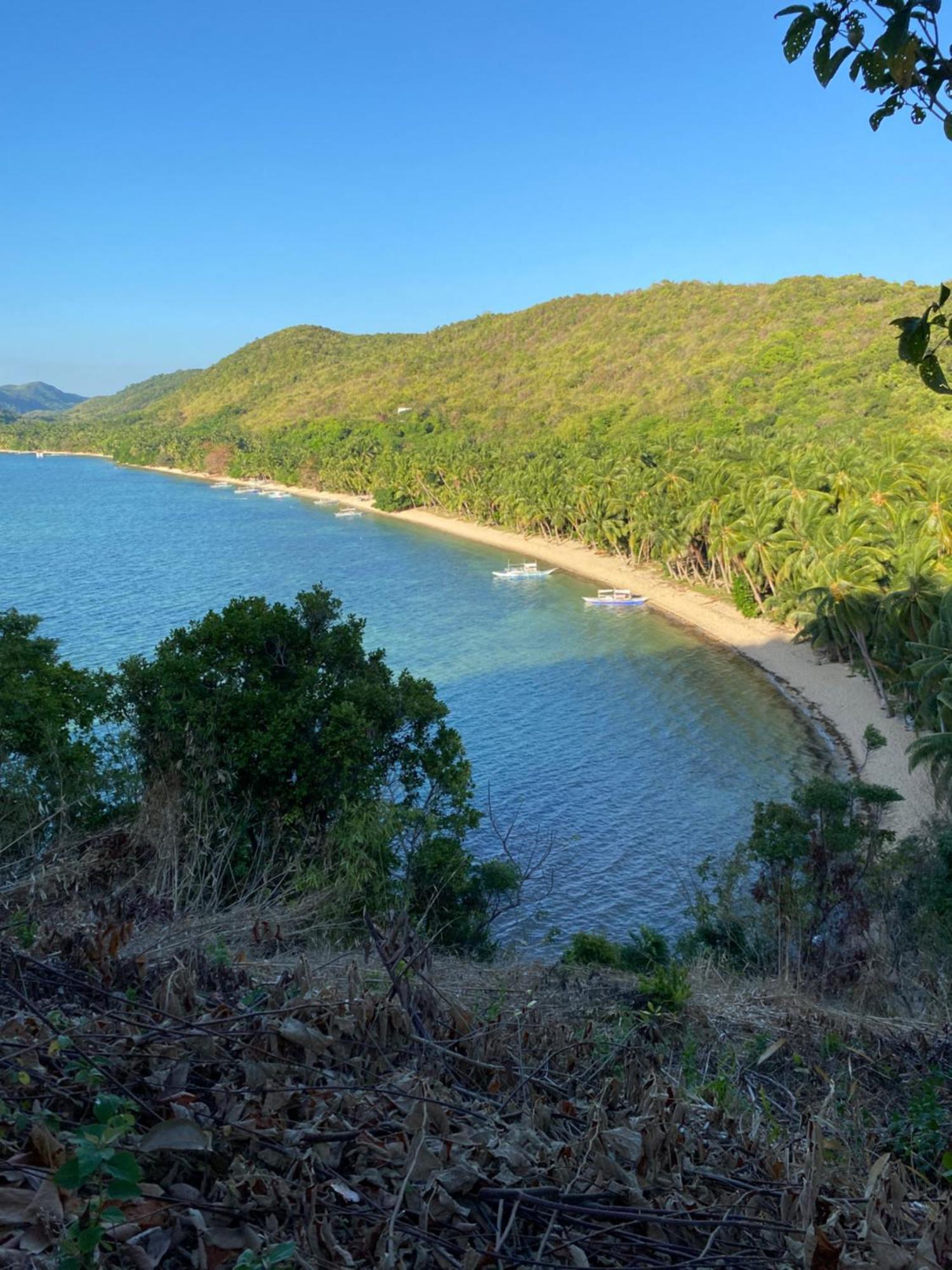 Ocamocam Nature New Busuanga