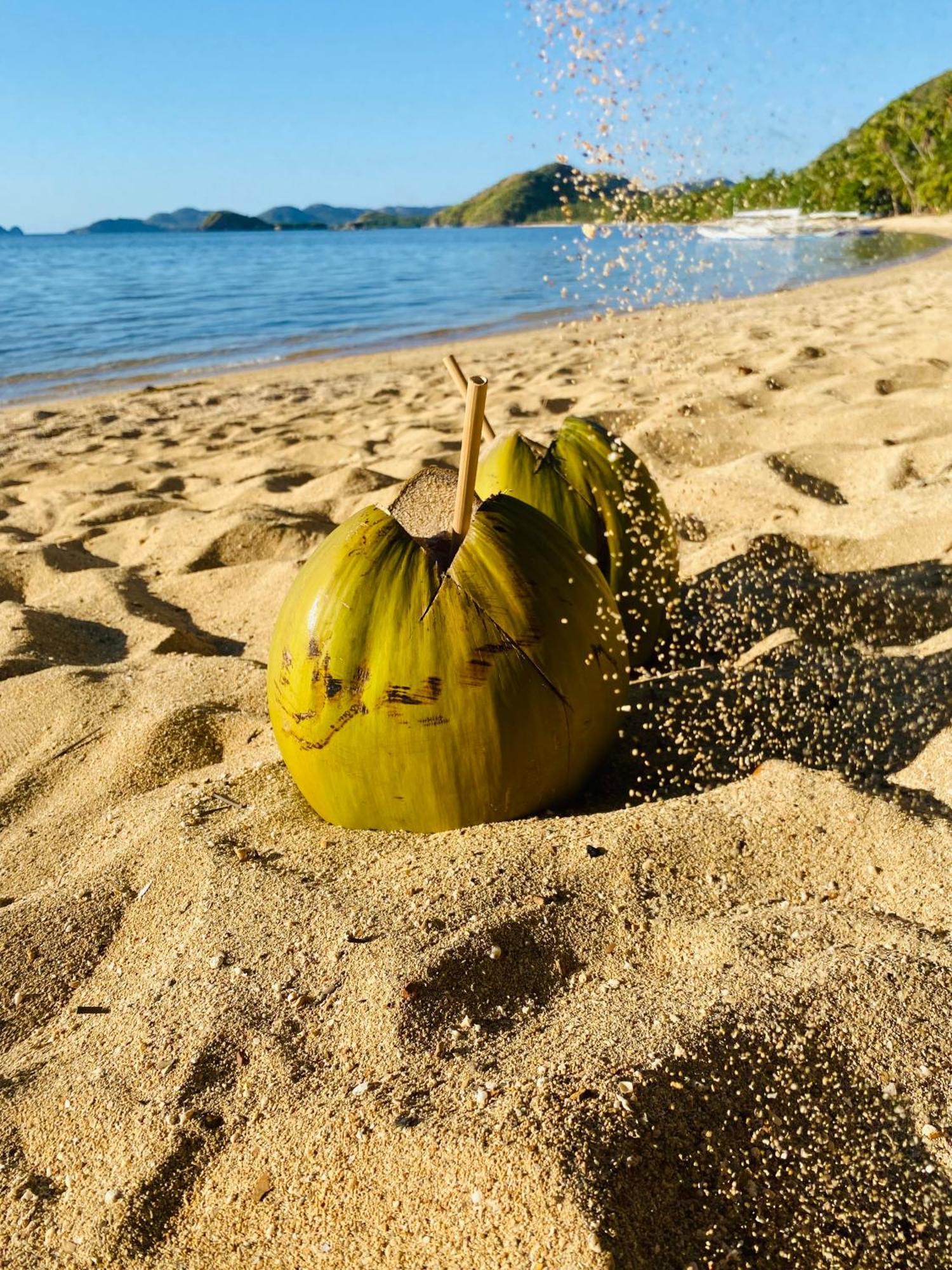 Ocamocam Nature * New Busuanga